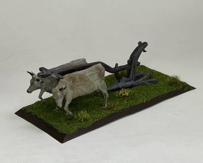 Oxen plow